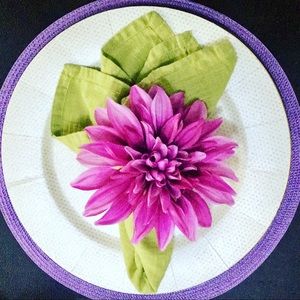 Napkin rings set (4)